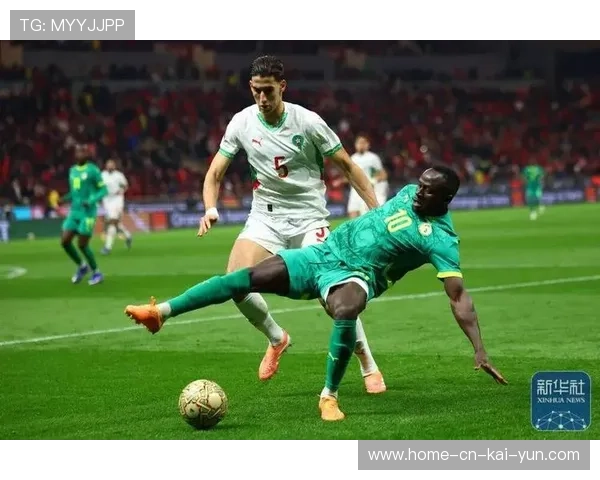 塞内加尔团队凝聚力：非洲冠军更衣室氛围与战术执行力